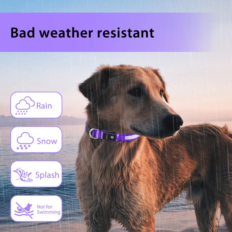 PcEoTllar Light up Dog Collar for Night Walking - LED Dog Collar Light Rechargeable Color Changing, Glow in The Dark Dog Collars Waterproof Glowing Dog Collars for Large Small Medium Dogs - Image 5